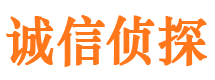 北林市私家侦探